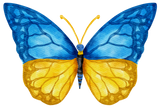 Discover Blue Yellow Ukraine Butterfly