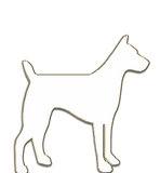 Discover Dog Lover T