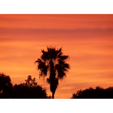 Discover Orange Winter FL sunset