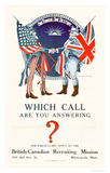 Discover Which Call are You Answering? (US02110)