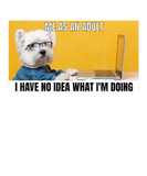 Discover Funny Dog Meme Me As An Adult I Have No Idea What