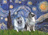 Discover Starry Night - Two Keeshonds