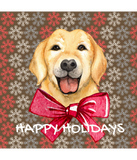 Discover Happy Dog Holidays
