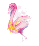 Discover Multicolored Flamingo