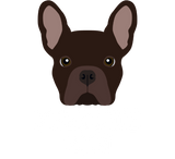 Discover Brown Frenchie Dog