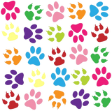 Discover Men's Paw Print T