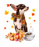 Discover Pumpkin Thanksgiving Chihuahuas For Dog Lovers Dri