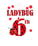 Discover This Ladybug Is 6 Year Old 6Th Birthday Girl Insec