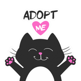 Discover Adopt me - Choose background color