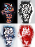 Discover Main Coon Art Collage Funky Trends