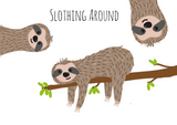 Discover Slothing Around Baby's