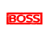 Discover Boss Stamp