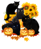 Discover Four Cats With Pumpkin And Flowers Halloween