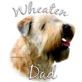 Discover Soft Coated Wheaten Terrier Dad 2