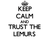 Discover Keep calm and Trust the Lemurs