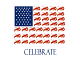 Discover Celebrate American Flag Lobster