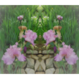 Discover Surreal Fantasy Iris Floral Path Polo