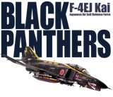 Discover Aviation Art  “F-4EJ Kai JASDF BLACK PANTH"