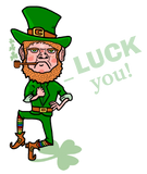 Discover Funny Leprechaun St Patricks Day Luck You Pun