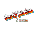 Discover Retro 80S Pass-A-Grille Beach Florida FL