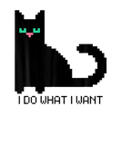 Discover 8Bit Digital Art Crypto Pixel Black Cat I DO WHAT