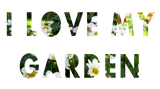 Discover Floral I Love My Garden Flower Text all Colors