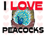 Discover I Love Peacocks
