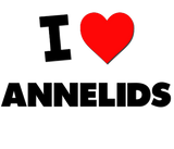 Discover I Love Annelids