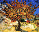 Discover Vincent Van Gogh - The Mulberry Tree Fine Art