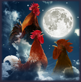 Discover Three Chicken Moon