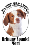 Discover Brittany Spaniel Traits