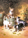 Discover "Kittens Playing with Beetles"