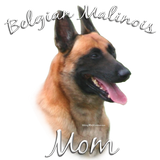 Discover Belgian Malinois Mom 2