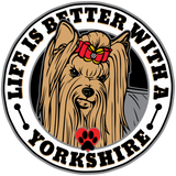 Discover Life Is Better With A Yorkshire Dog Breed