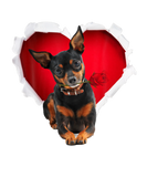 Discover Cute Doberman Rose Heart Valentines Day Couple
