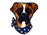 Discover Boxer Dog 4th of July