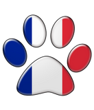 Discover French patriotic cat