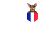 Discover France Flag Brown Chihuahua Dog In Pocket