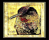 Discover Bird Models: Photographic Hummingbird 01-03