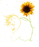 Discover You are my Sunshine Sunflower Horse