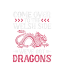 Discover Dragon Come To The Welsh Side We've Got Dragons Di