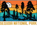 Discover Sequoia National Park Souvenir Retro Sequoia Tree