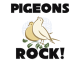 Discover Pigeons Rock