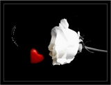 Discover **HEART AND ROSE FOR HER**