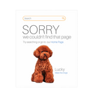 Discover Poodle Funny Online Shop Ecommerce Seller 404 Dog