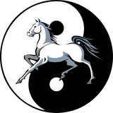 Discover Yin Yang Horse Symbol
