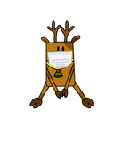 Discover Funny Red Oh Deer What a Year Face Mask 2020
