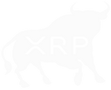 Discover XRP Bull Run