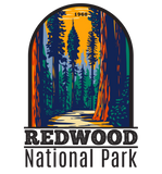 Discover Redwood National Park California Vintage