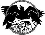 Discover Raven  Raven Cool Crow Wild Bird